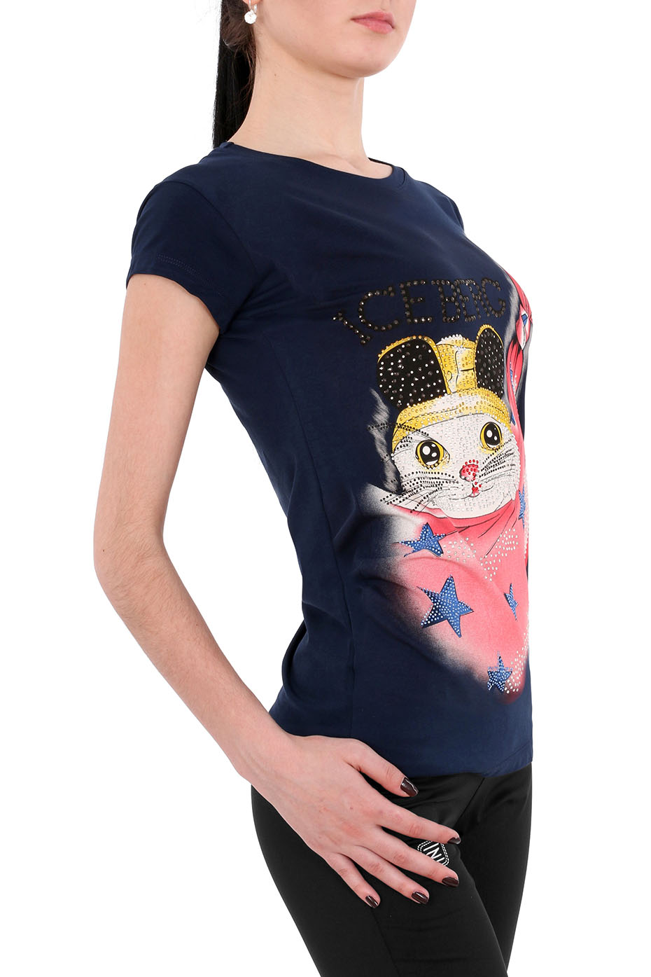 IceBerg 1363-33_2d_0005