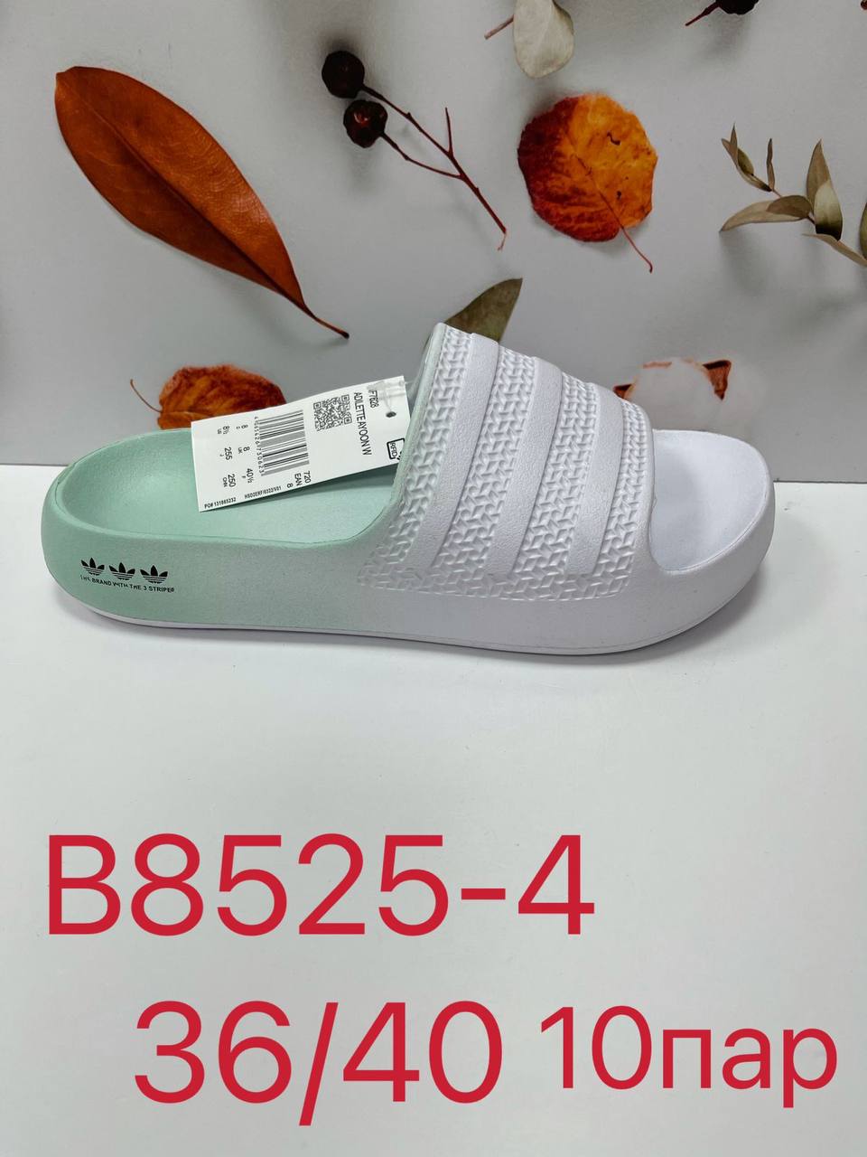 5217697602177457958_121