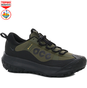 Кроссовки Nike ACG Mountain Fly 2 Low GTX Army Green / Black