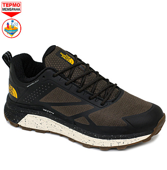 Кроссовки The North Face Cedar Mesa GTX Khaki Brown / Orange