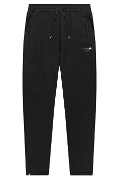 Утеплённые брюки Adidas Terrex 03 84GA030 Flice GT Black