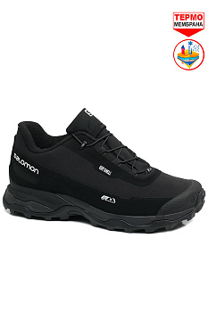 Кроссовки Salomon Fury Ultra Soft Shell M Black / Silver