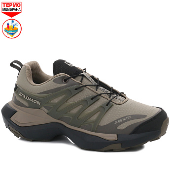 Кроссовки Salomon XT PU RE Edvanced Chassis GTX Sand / Coffee