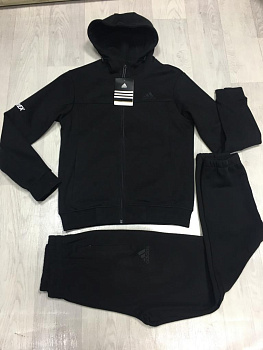 Костюм утепленный Adidas Terrex The Three Btrpeb Black / Black