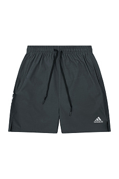 Шорты спортивные Adidas Terrex 40808D980 Gray
