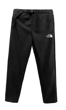 Брюки флисовые The North Face 19IG4032182 Fleece Black