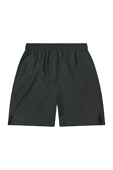 Шорты спортивные Adidas Performance 40808D981 Gray