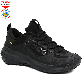 Кроссовки Nike ACG Mountain Fly 2 Low GTX Black