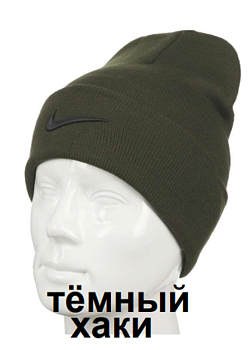 Шапка мужская Nike 527NK380 Khaki / Black