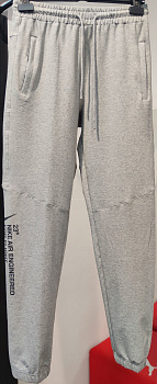Спортивные брюки Nike Air Jordan 23 Engineered 655200311 Light Gray