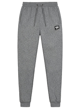 Спортивные брюки Puma Sport 60309A2734 Melange Gray
