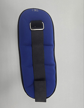 Утяжелители универсальные SC-87221 2,5 кг, синий