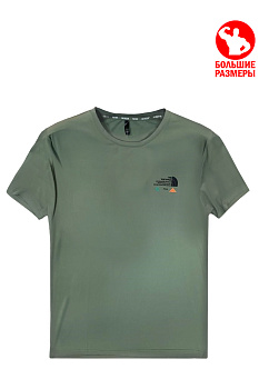 Футболка The North Face Your Way Our Passion GT Khaki