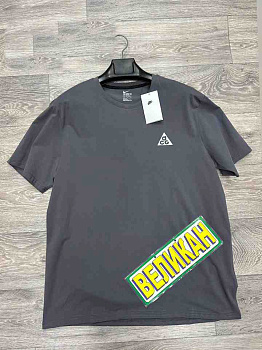 Футболка Nike ACG 412A885165 GT Light Gray