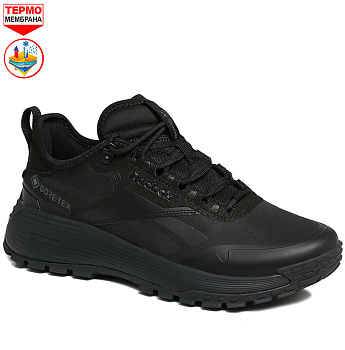 Кроссовки Reebok DMX Trail GTX Omni-Heat Black