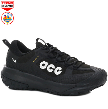 Кроссовки Nike ACG Mountain Fly 2 Low GTX Black / White