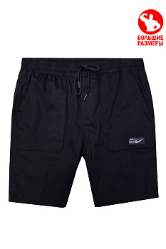 Шорты спортивные Nike Sportswear Swoosh 6484300223 GT Black