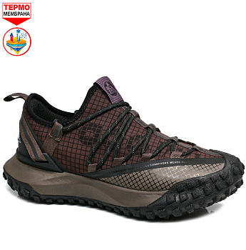 Кроссовки Nike ACG Mountain Fly Low GTX Omni-Heat Brown