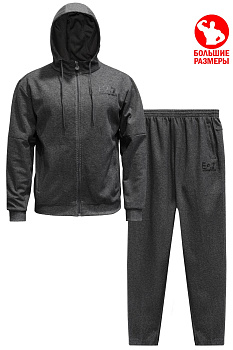 Спортивный костюм Emporio Armani EA7 8750B7231 GT Dark Gray
