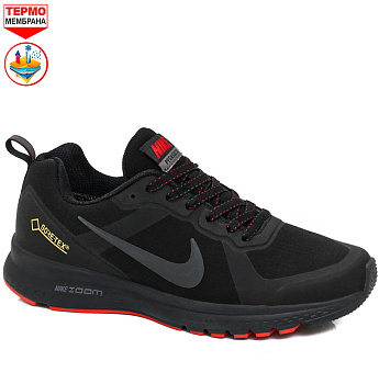 Кроссовки Nike Air Zoom Pegasus 30 Gore-Tex Black / Red