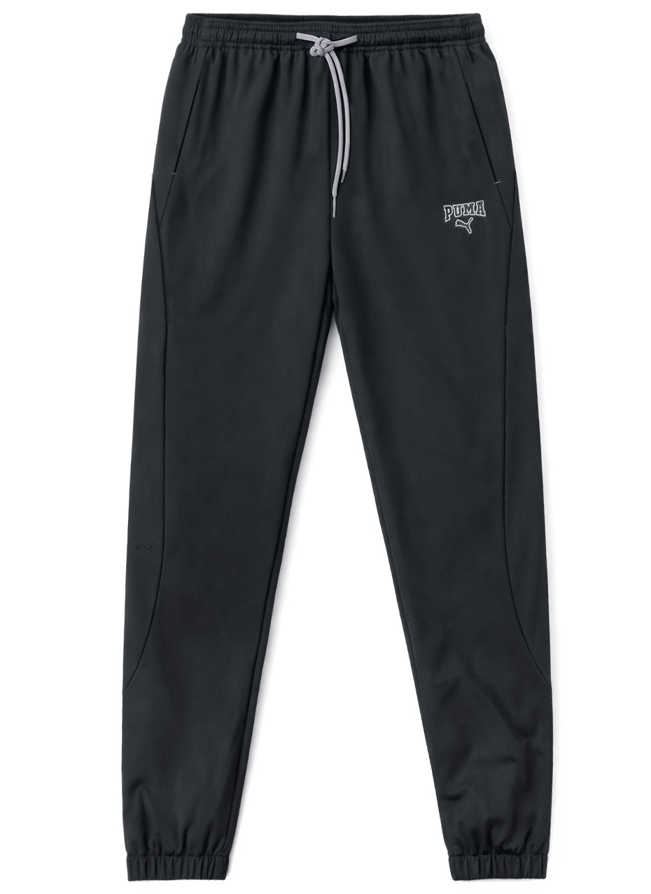 Спортивные брюки Puma Sport 50407A72170C Dark Gray