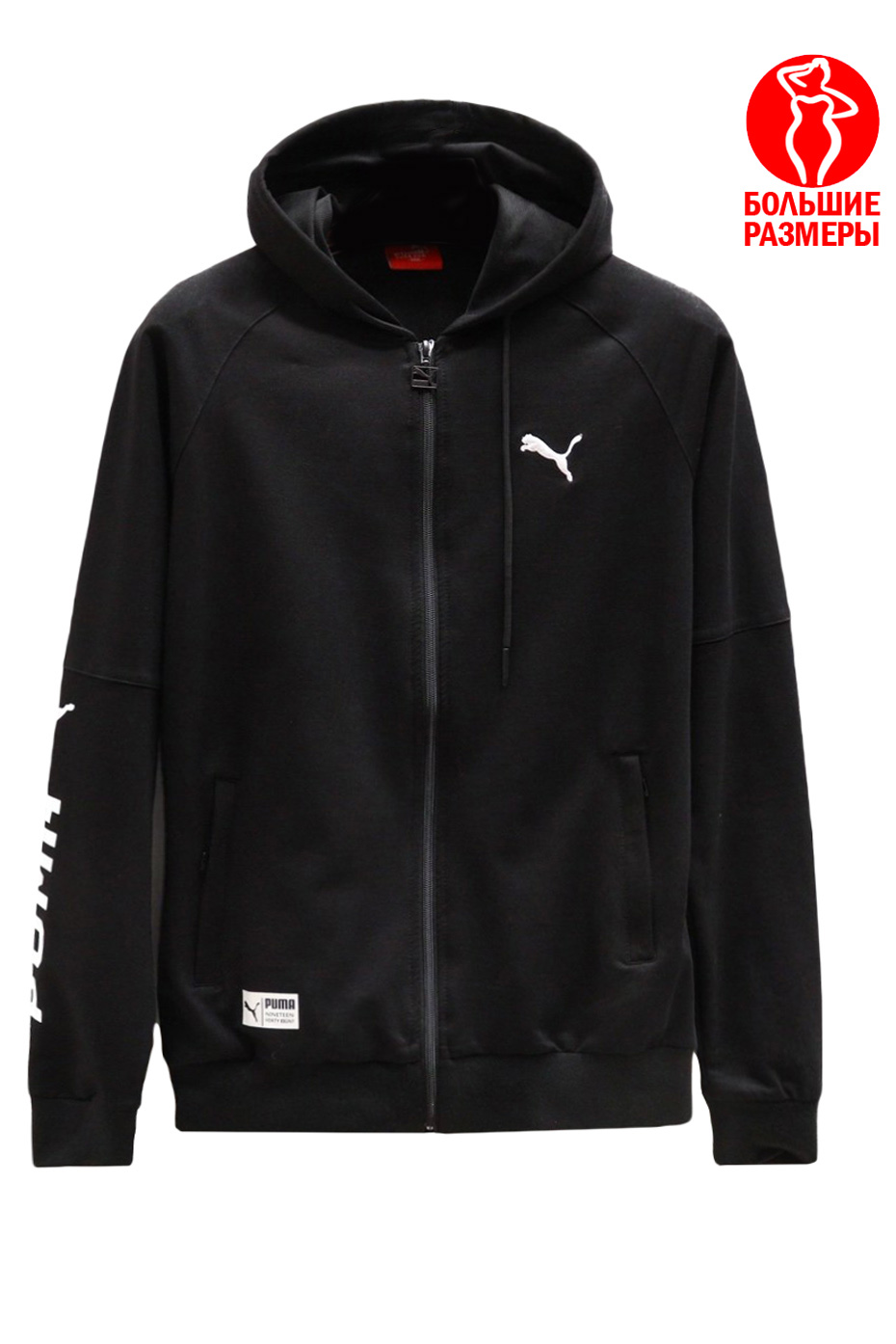 Puma