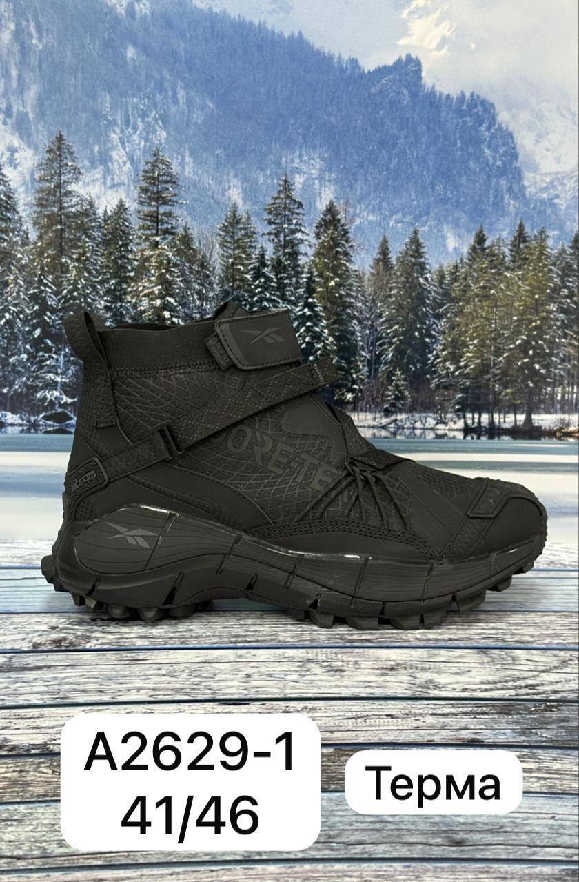 5339469794853910792_121