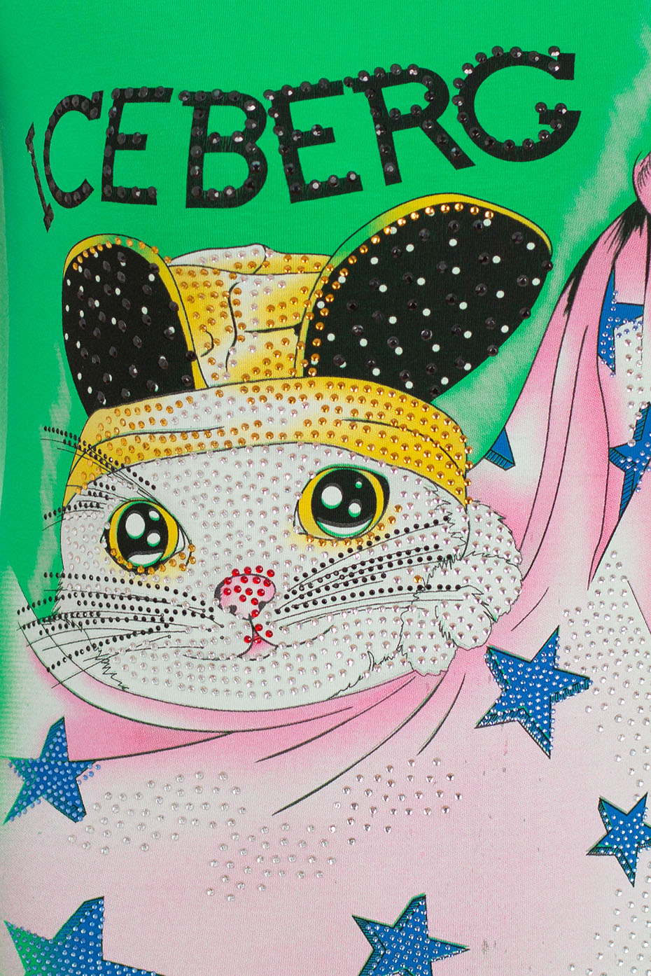 IceBerg 1363-14_2d_0002