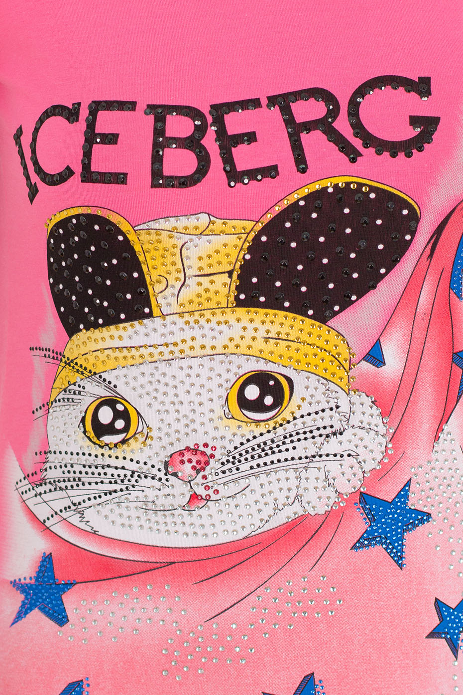 IceBerg 1363-999_2d_0006