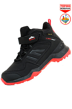 Ботинки Baas Terrex Gore-Tex Nubuck Black / Red