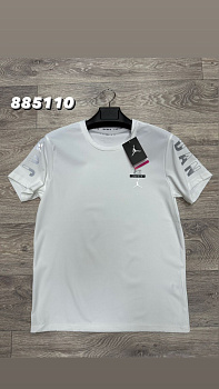 Футболка Nike Jordan 94A885110 White / Silver