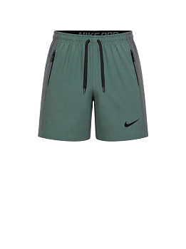 Шорты спортивные Nike Trainng 50403D966 Mint / Gray