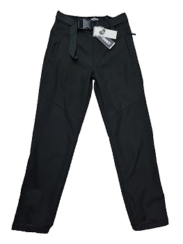 Утеплённые брюки Adidas Terrex 608L21213 Softshell Black