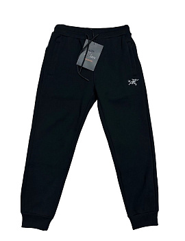 Утеплённые брюки Arcteryx Endorphine Steel Black