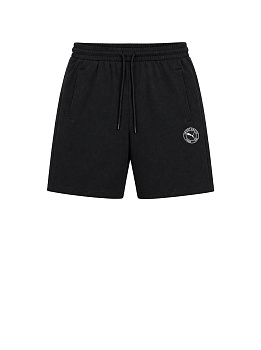 Шорты Puma Sportstyle 1948 50406A2025007 M Black