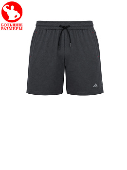 Шорты спортивные Adidas Performance 50405AD2303 GT D Gray