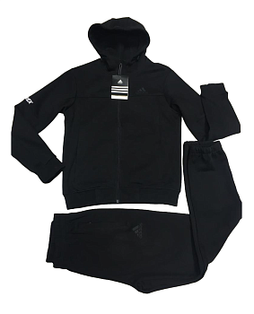 Костюм утепленный Adidas Terrex The Three Btrpeb Black / Black