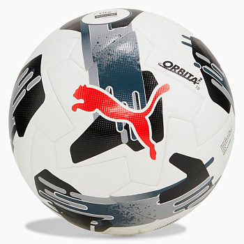 Мяч футбольный профессиональный PUMA Orbita 2 TB FIFA Quality Pro №5
