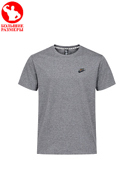 Футболка Nike Dri-Fit 40318K5511 GT Light Gray