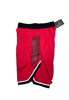 Шорты спортивные Nike DNA  Pro Cool Red